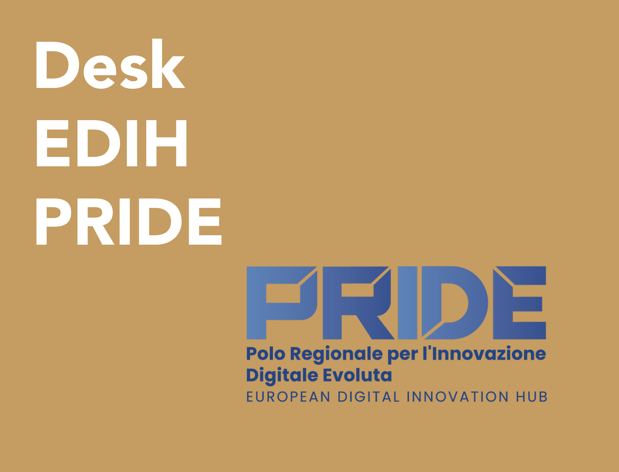 1741276374_DESKEDIHPRIDE1