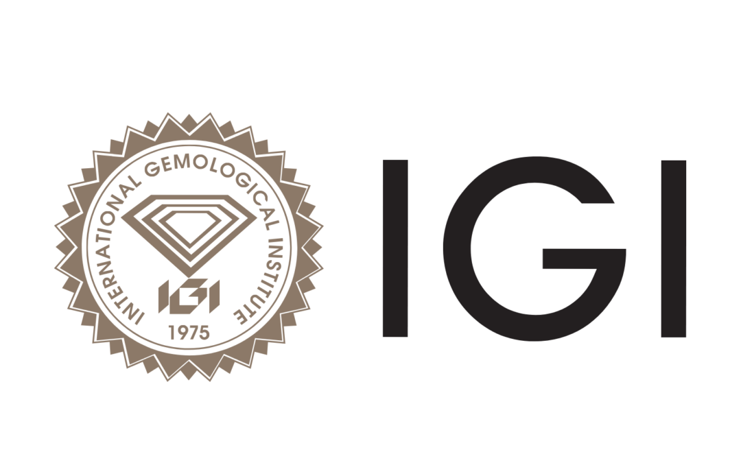 INTERNATIONAL GEMOLOGICAL INSTITUTE BV